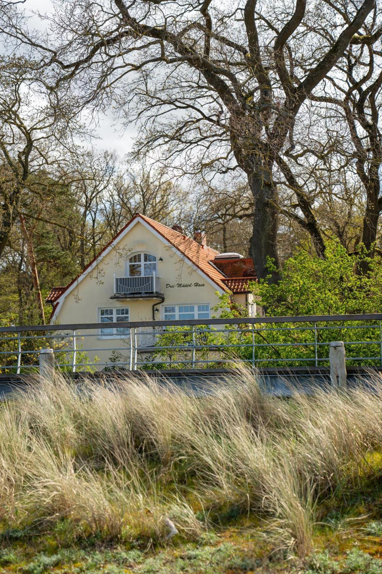 Strandvilla Drei Maederl Haus * Boltenhagen (Ostseebad)